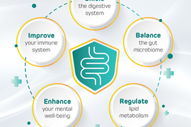 Gut Shields Liquid Spore Probiotic